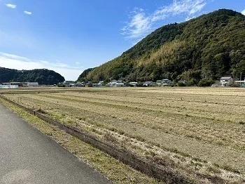 View 8