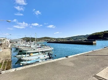 View 11