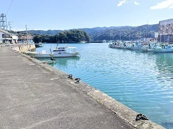 View 12