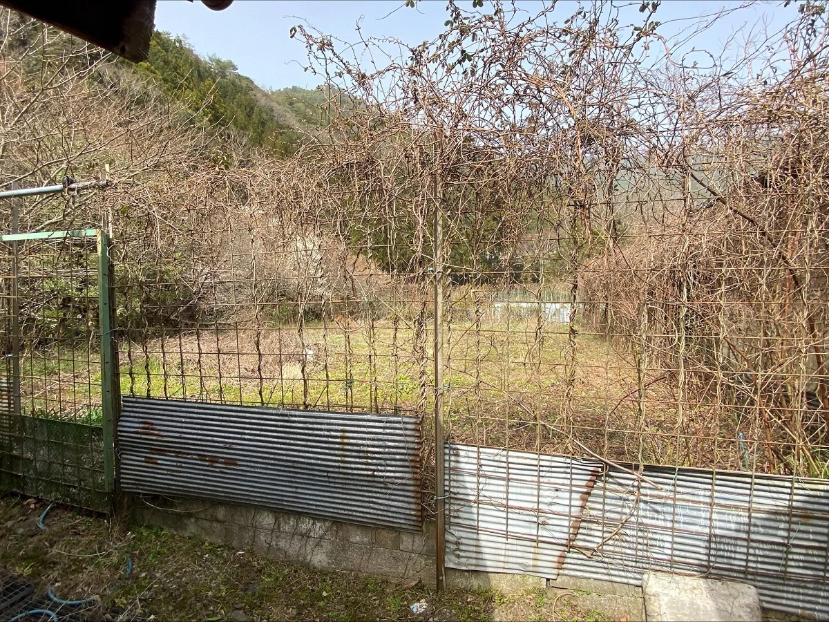 View 19
