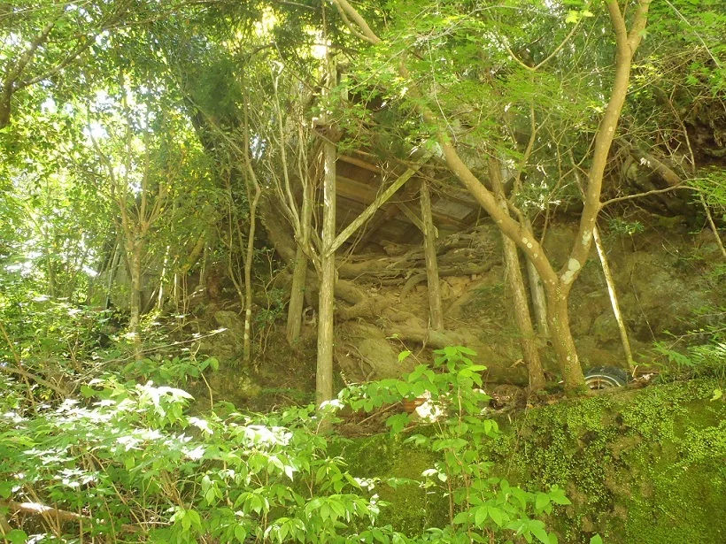 View 14