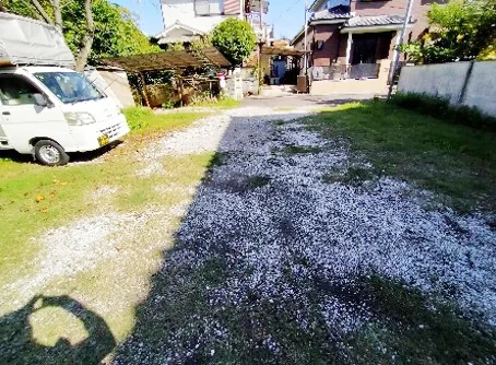 View 6