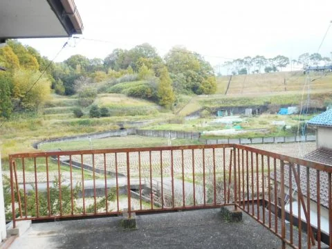 View 3