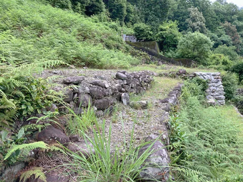 View 2