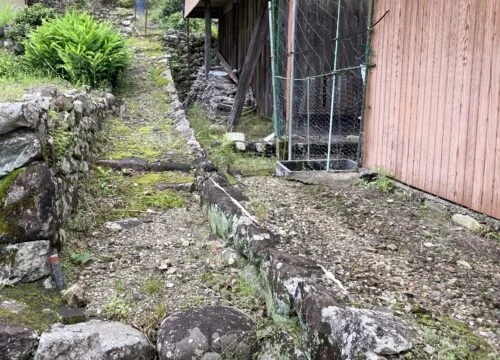 View 5