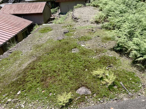 View 3