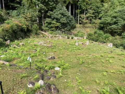 View 5