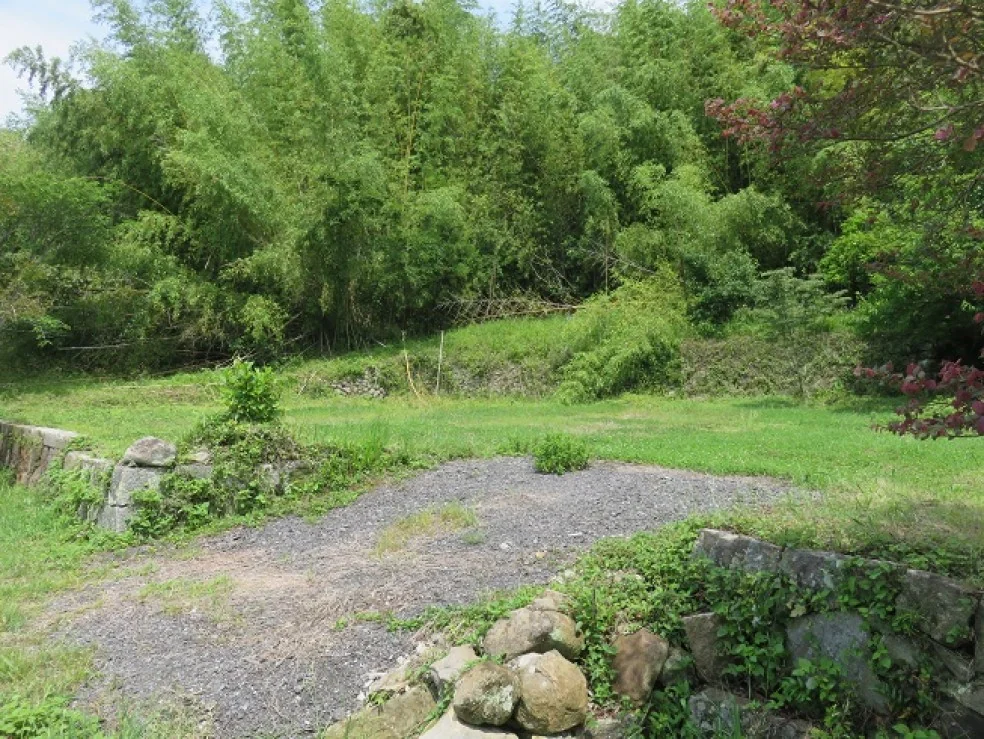 View 3