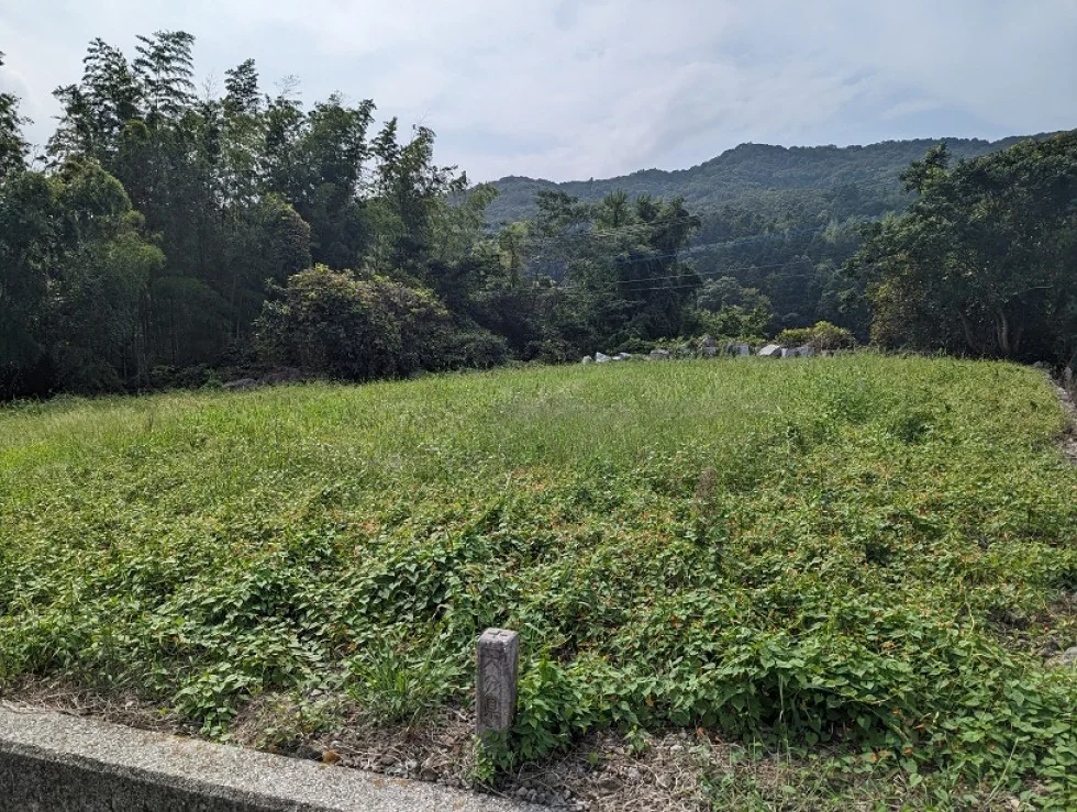 View 2