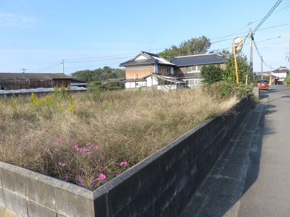 View 2