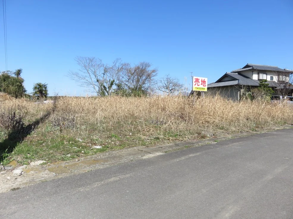 View 2