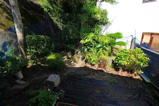 View 14