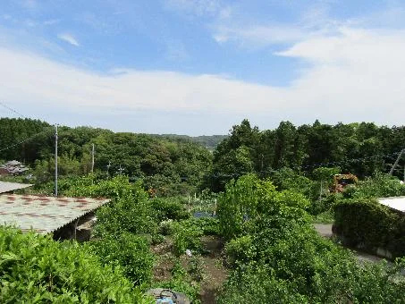 View 11