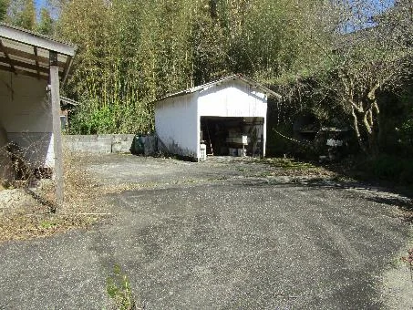 View 14