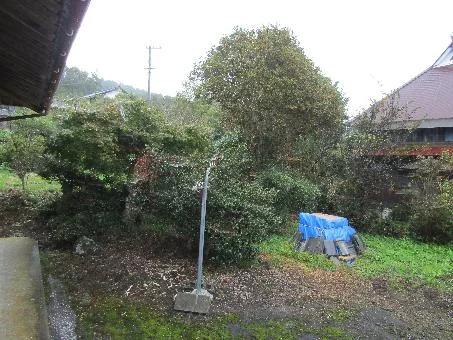 View 14