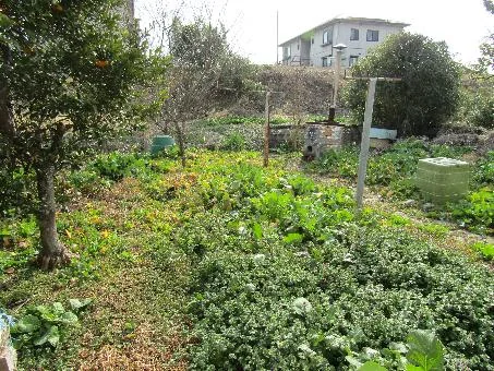 View 14