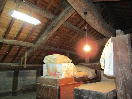 View 15