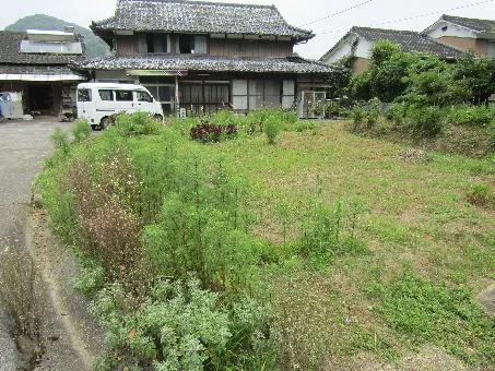 View 13