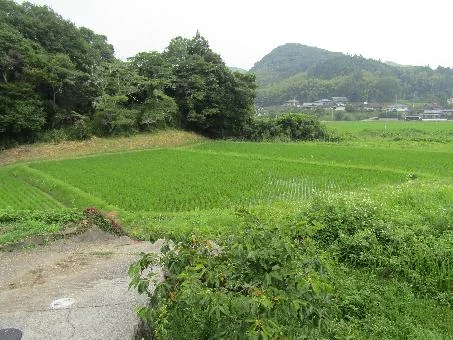 View 14