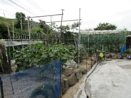 View 13