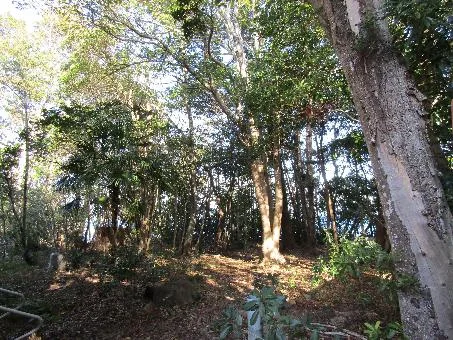 View 14