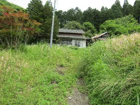 View 14