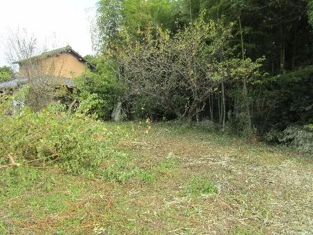 View 14