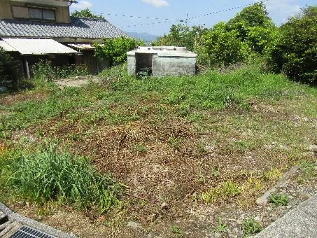 View 14