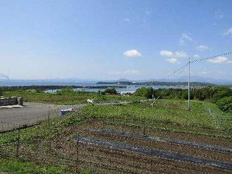 View 15