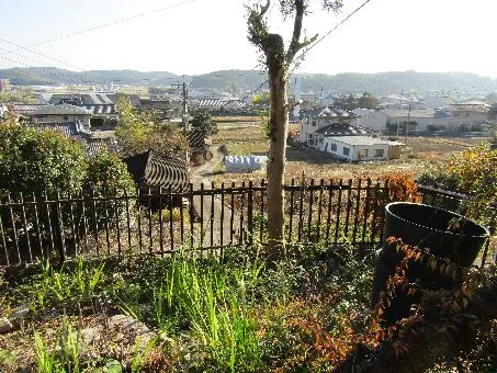 View 14