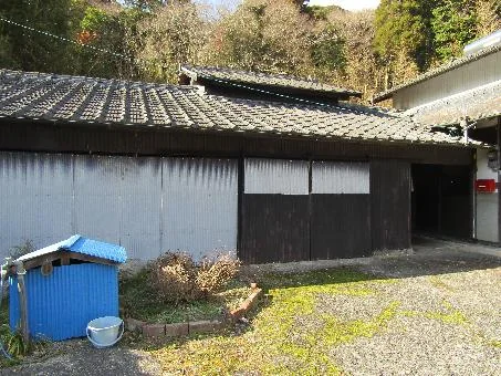 View 12
