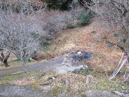 View 14