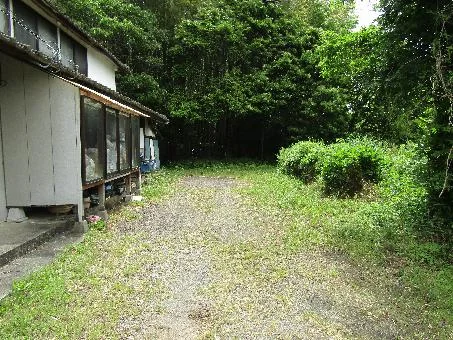 View 14