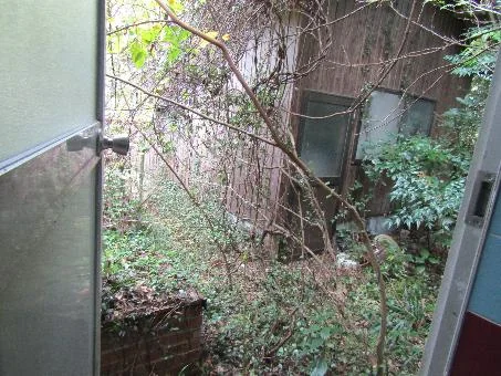 View 13