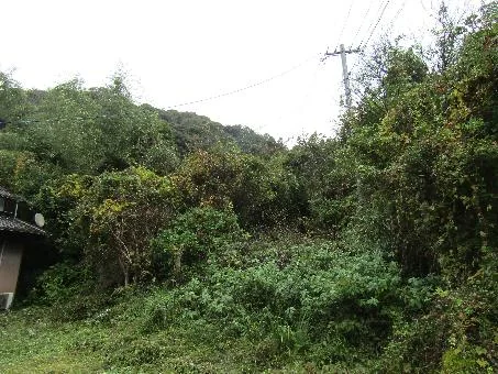 View 14