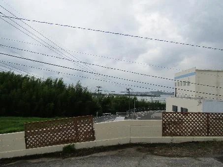 View 14