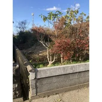 View 12