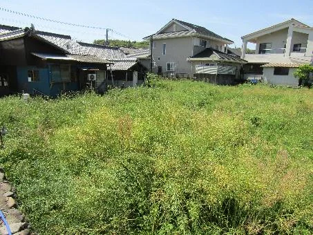 View 14