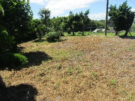 View 14