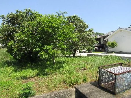 View 14