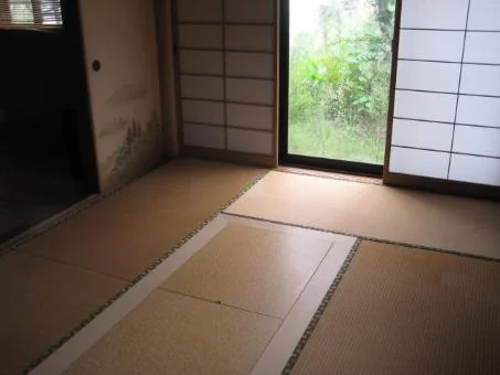 View 5