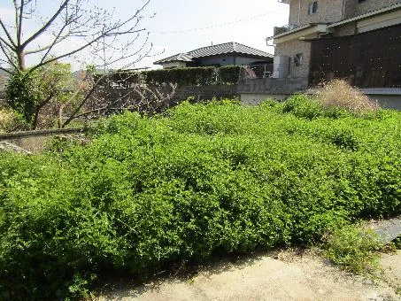 View 14