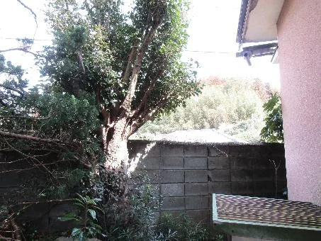 View 14