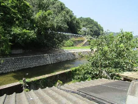View 15