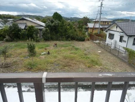 View 11