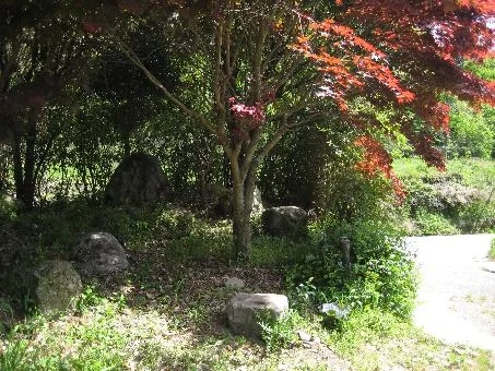 View 14