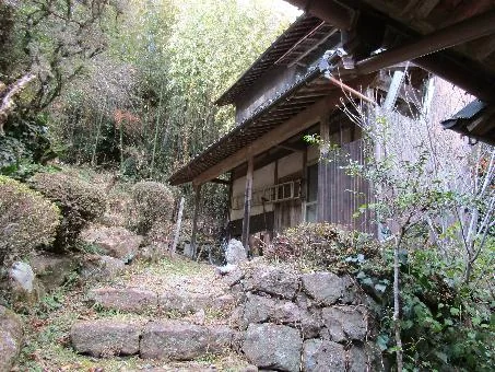 View 14