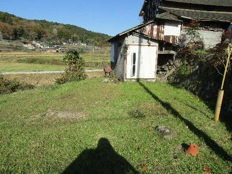 View 14