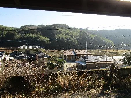 View 14