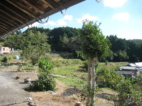 View 10